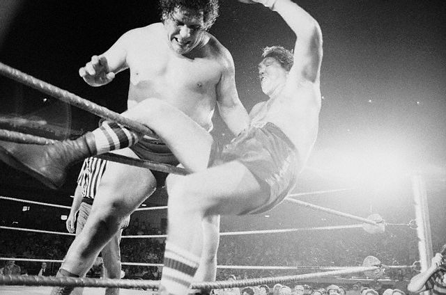 Chuck Wepner is draped on the ropes, about to fall through, after Andre the Giant picked him up and tossed him out of the ring in the third round of the boxer-wrestling match held at Shea Stadium.  Andre was declared the winner in 1:15 after a wild scene in which trainers and handlers tried to push Wepner back in the ring within the 20-second time limit --1976.