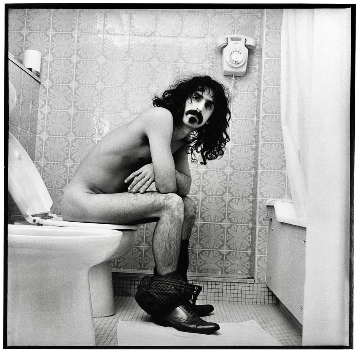 frank zappa krappa toilet robert davidson